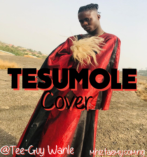 [Download mp3] Tee-Guy Wanle_TESUMOLE COVER
