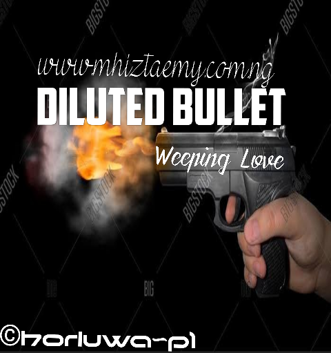 DILUTED Bullet-Chapter28